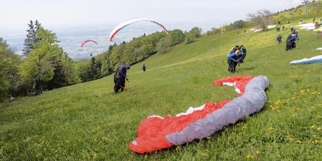 Paraglider Land in Dog Poop