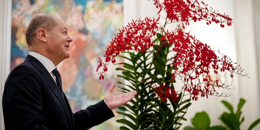 Bundeskanzler Olaf Scholz (SPD) steht bei der Orchideenzeremonie neben der Orchidee mit dem Namen Renanthera Olaf Scholz.