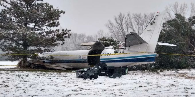 Alle Tiere überleben - Flieger mit 53 Adoptiv-Hunden stürzt ab