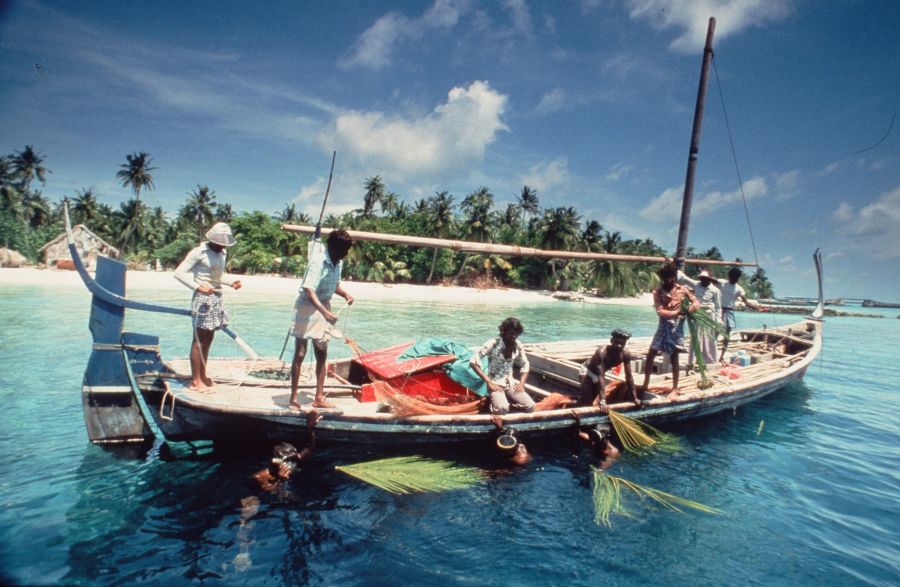 Boot Wasser Tauchen Menschen Palmwedel Malediven