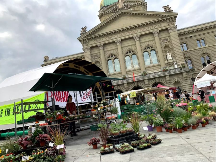 Eine Verkäuferin an einem Marktstand auf dem Bundesplatz.