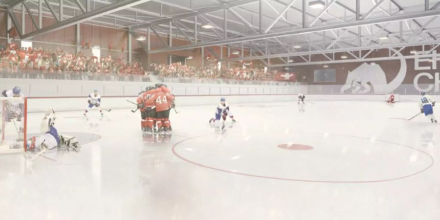 Trainingseishalle Projekt Eisball