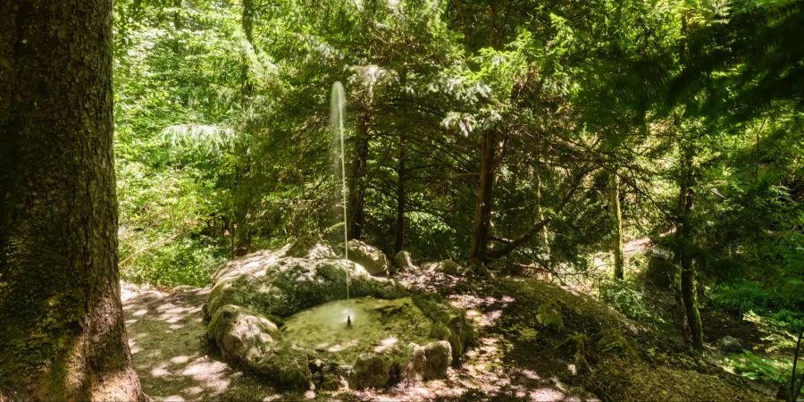 Die Teufelsschlucht Hägendorf. - Kanton Solothurn