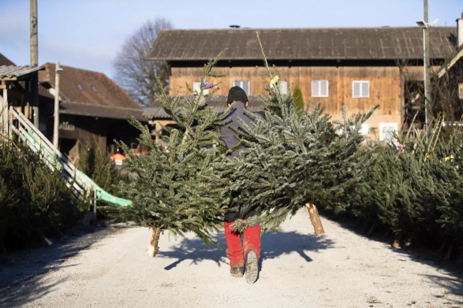 Weihnachtsbaum