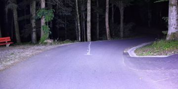 Selbstunfall mit Motorrad