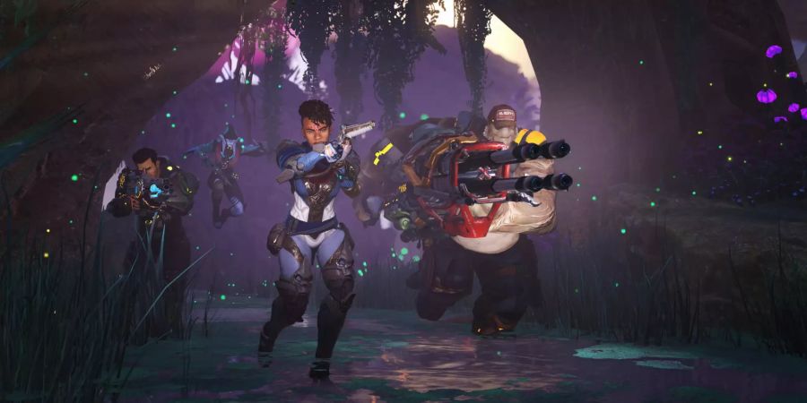Crucible Amazon