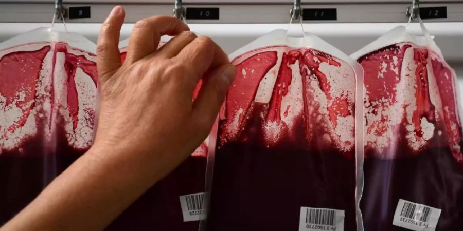 Eine Mitarbeiterin der Blutbank überprüft Beutel mit Blut in einer Blutbank. Foto: Ina Fassbender/dpa