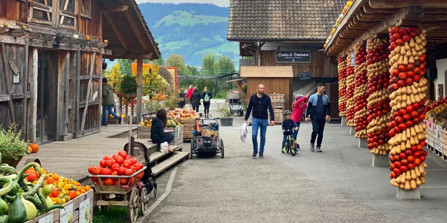 Bächlihof in Jona.