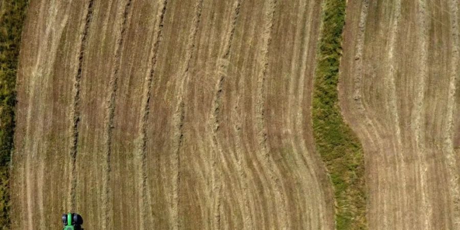 Bauer auf einem Feld in der Eifel