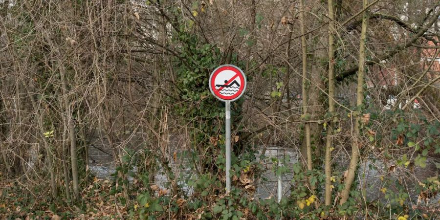 Schwimmen bleibt auf dem «Werdinseli» erlaubt, Sex im Gebüsch ist derweil «nicht erwünscht».