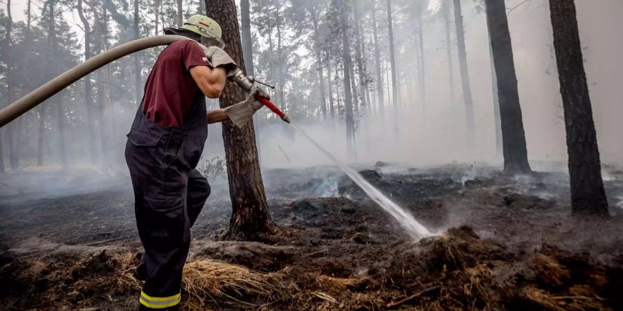 Ein Feuerwehrmann bekämpft einen Waldbrand bei Treuenbrietzen (D).