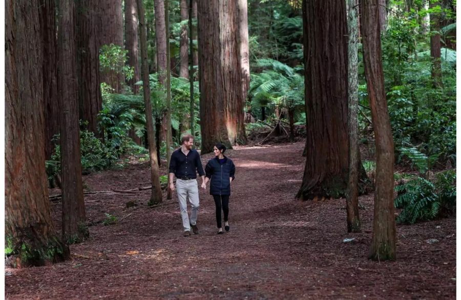 Meghan und Harry gehen zusammen durch den Redford Forest in Neuseeland.