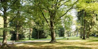 Gemeinde - Schneisingen nimmt am Projekt «Natur findet stadt» teil