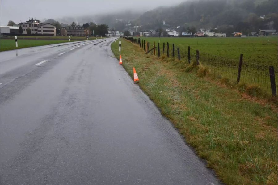Umgefahrener Zaun neben der Strasse - zvg Kantonspolizei St. Gallen