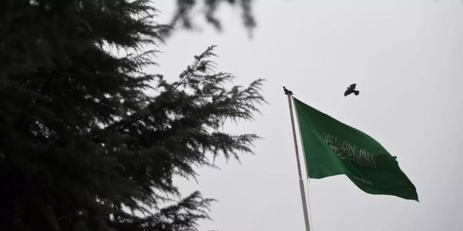 Ein Vogel fliegt oberhalb der saudischen Flagge.