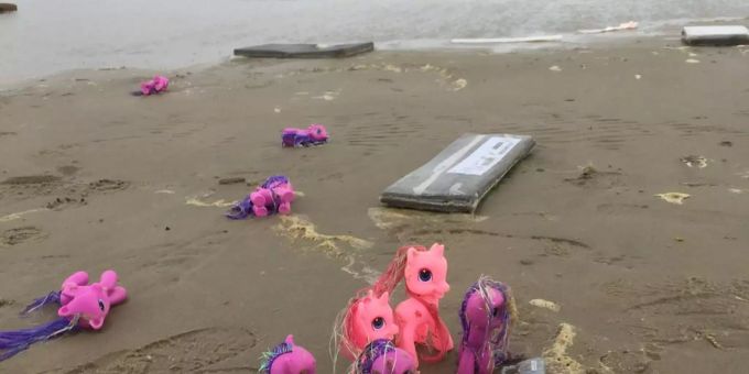 Frachterunfall - «Keinesfalls offene Container berühren!»