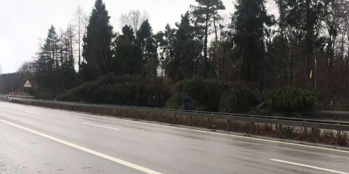 «Burglind»-Chaos in der Schweiz - Umgekippte Bäume blockieren Strassen