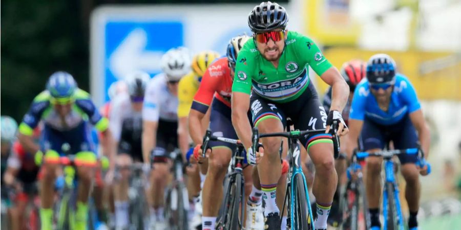 Peter Sagan sichert sich das Grüne Trikot.