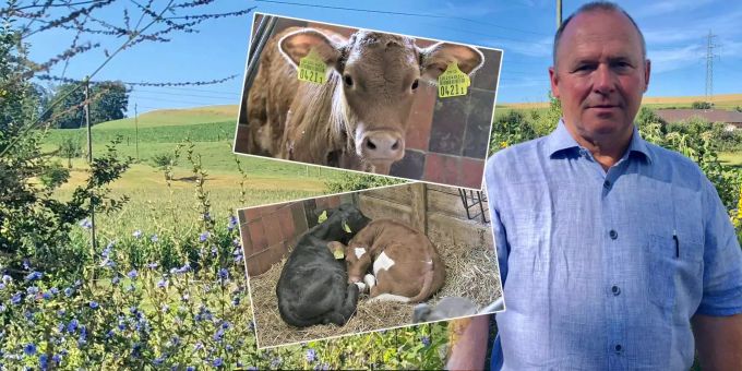 Für Nutztierhaltung - SVP-Nationalrat Aebi: «Die Schweiz braucht Kühe!»