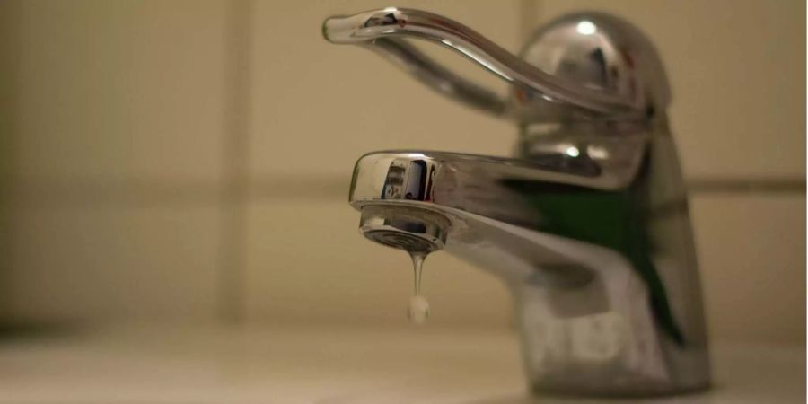 Trinkwasser Legionellen