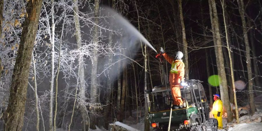 Bei Minustemperaturen wurde der 3000 Hektar grosse Wald vereist.