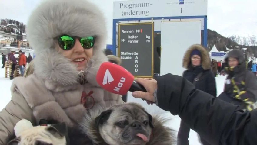 stmoritz-pelz-umfragegm