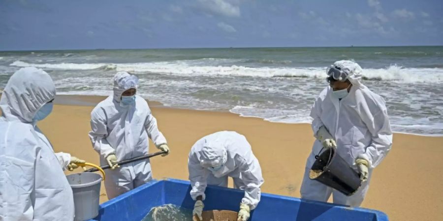 Mitglieder der srilankischen Marine säubern weiter die Strände