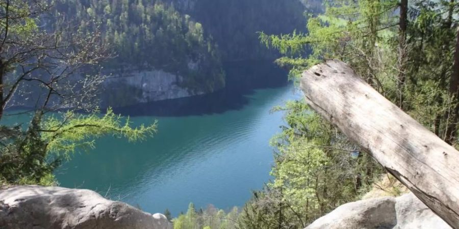 Der Bereich um die Gumpe am Königsbach-Wasserfall bei Schönau am Königssee wird gesperrt. Foto: Sabine Dobel/dpa