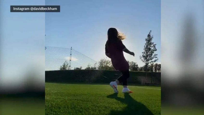 harper-beckham-langer