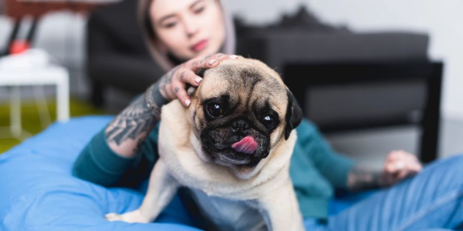 Frau mit Hund