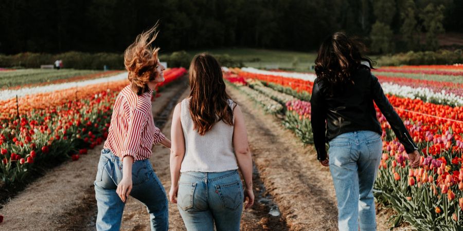 Drei junge Frauen in Jenas gehen über ein Tulpenfeld.