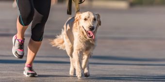 Frau und Hund joggen