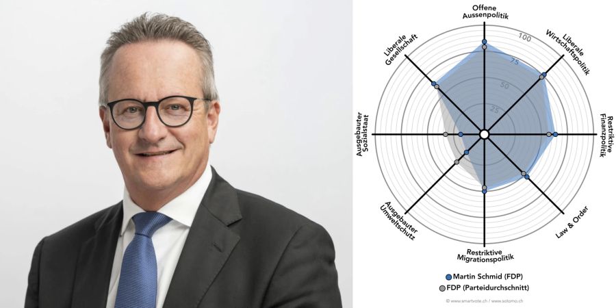 Smartspider Martin Schmid (FDP)