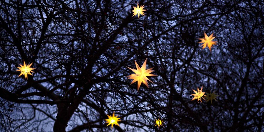 Stern Nacht Baum Weihnachten