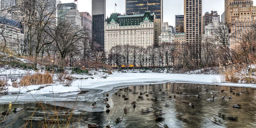 Plaza hotel am Central Park in New York.