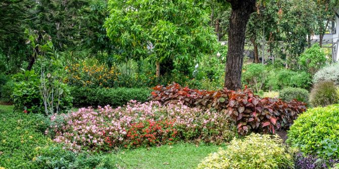Schattiger Garten mit verschiedenen Pflanzen