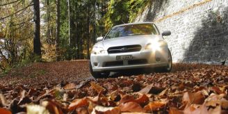 Detektiv enthüllt - Auf Arbeitszeit! Mitarbeiter hat Auto-Sex im Wald