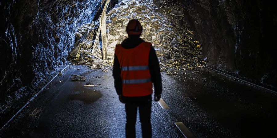 Die Bauarbeiten zur Instandsetzung des Tunnels dauern voraussichtlich bis Ende Juni. (Archivbild)