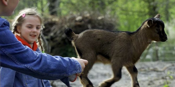 Tierpark Bern SVP