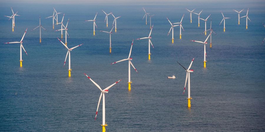 Die Windbranche freut sich über gute Ausbauzahlen.