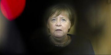 alternative für deutschland
