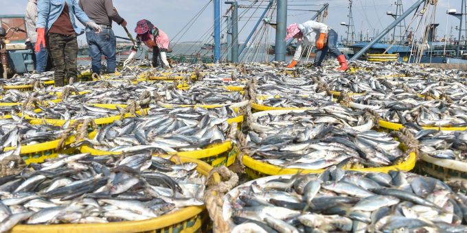 Fischer im Fischereihafen von Xiangzhi in der südostchinesischen Provinz Fujian. Fischer im Fischereihafen von Xiangzhi in der südostchinesischen Provinz Fujian.