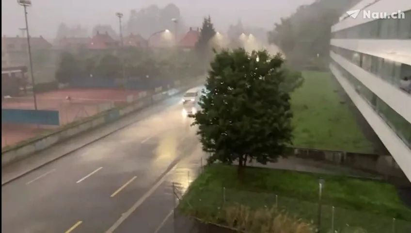 regen1