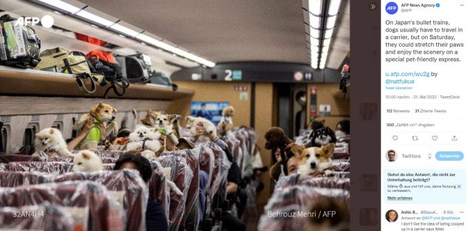 In Japan konnten Hundebesitzer ihre Vierbeiner für einmal in den Hochgeschwindigkeitszug mitnehmen. Zug Japan