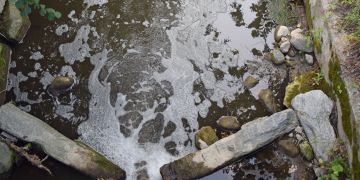 Gewsserverschmutzung