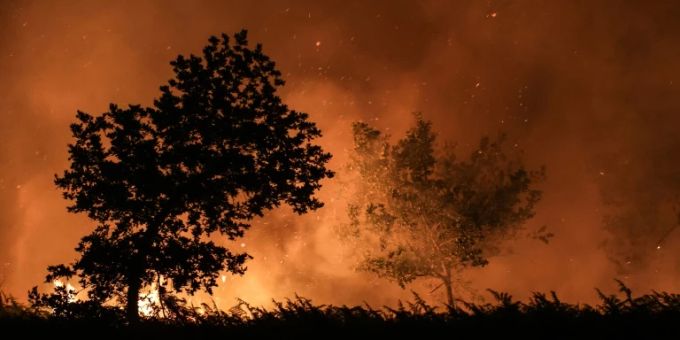 Brand in Landiras Brand in Landiras
