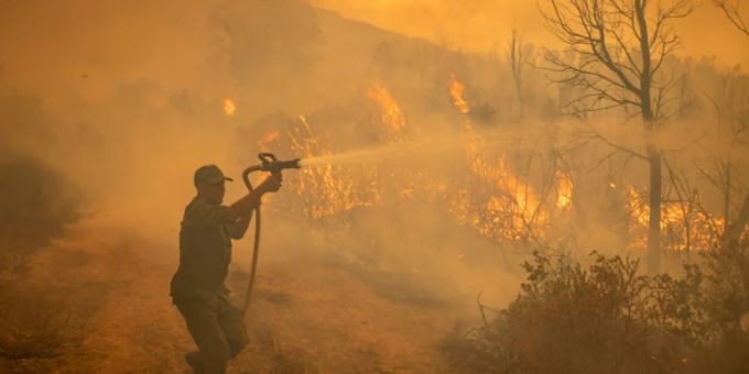Verheerende Waldbrände im Norden Marokkos Verheerende Waldbrände im Norden Marokkos