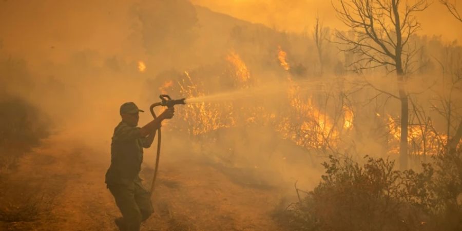 Verheerende Waldbrände im Norden Marokkos