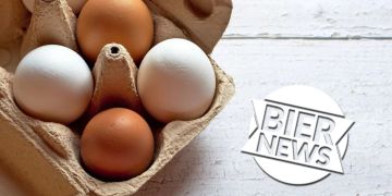 eier