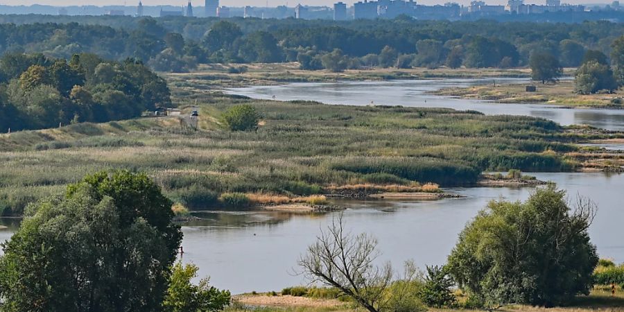 Blick auf den deutsch-polnischen Grenzfluss Oder in Richtung Frankfurt (Oder). Seit mehreren Tagen beschäftigt das massive Fischsterben im Fluss Oder die Behörden und Anwohner des Flusses in Deutschland und Polen. Foto: Patrick Pleul/dpa